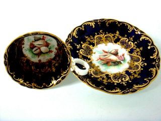 COALPORT PORCELAIN RARE SHELL PAINTED CUP & SAUCER GILDED SCROLLED BORDER C1825 2