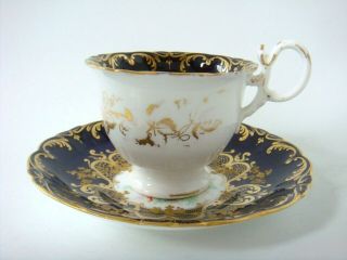 COALPORT PORCELAIN RARE SHELL PAINTED CUP & SAUCER GILDED SCROLLED BORDER C1825 3
