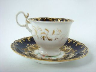 COALPORT PORCELAIN RARE SHELL PAINTED CUP & SAUCER GILDED SCROLLED BORDER C1825 4