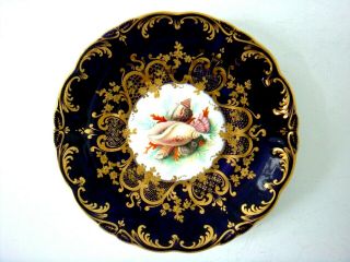 COALPORT PORCELAIN RARE SHELL PAINTED CUP & SAUCER GILDED SCROLLED BORDER C1825 5