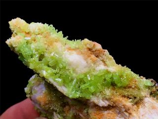 39g Natural Green Pyromorphite Crystal Cluster Rare Mineral Specimens China