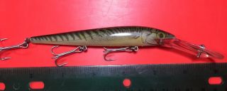 Rebel Spoonbill Minnow Fishing Lure Naturalized Musky Bass Vintage Rare Perch