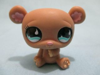 Littlest Pet Shop Rare Brown Teddy Bear With Flower Ears 911 Authentic Lps