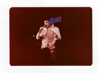 Elvis Presley Concert Photo - Unseen Fan Shot 1977 - Jim Curtin Rare
