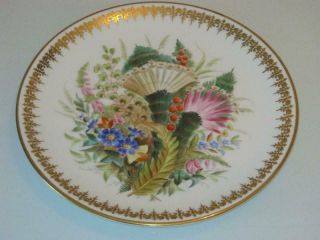 Stunning Rare 19th Century Handpainted Porcelain Cabinet Plate No471