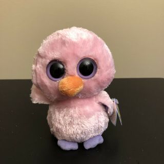 Ty Beanie Boos Posy The Pink Easter Chick Purple Tag Solid Eyes Rare 6 " 2011