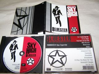 Sky High - Bluester 1999 Rare Indie Aor/hr Wayne Agentz Witness