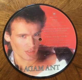 Adam Ant Strip/yours Yours Yours Picture Disk 7” Rare Wa3589