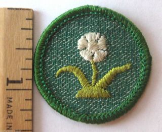 Rare 1955 Girl Scout Wild Plant Badge Flower Finder Patch Light Green Border