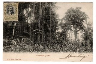 Costa Rica Postcard To France 6 Cts Stamp Rare 1905