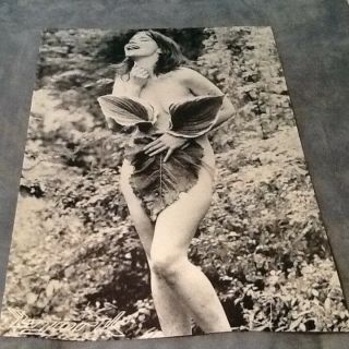 Bjork Nude - Nymph In Forest - 1990 