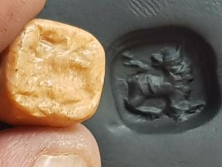 Fantastic Extremely Rare Ancient Stone Seal Pendant/lion.  6.  2 Gr.  15 Mm