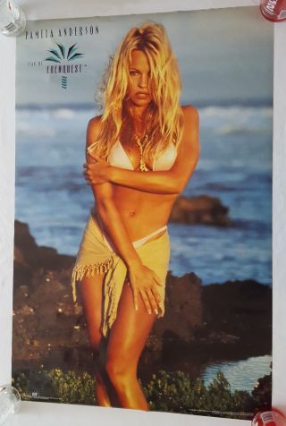 Rare Vintage Pamela Anderson Edenquest Poster 23x35 " Playboy Sexy Hot 90s (1995)