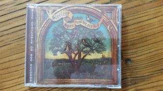 Steeleye Span - Now We Are Six - Rare Out Of Print Uk Cd (bgo) -