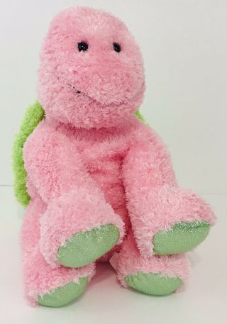 Rare Mary Meyer Sweet Rascals Green Pink Turtle Plush Soft Stuffed Toy F