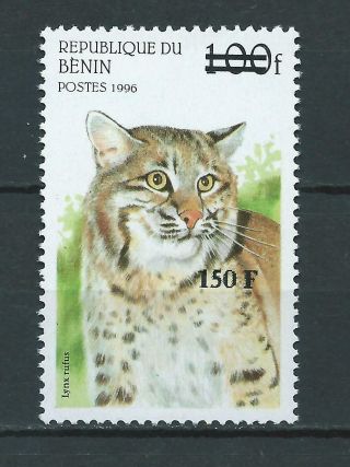 Benin - Surcharged - Overprint - Wildcats - 100f X 150 F - Mi.  1282 - Mnh - Very Rare