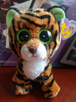 Ty Beanie Boos Stripes The Tiger Purple Tag Solid Eyes 6” Plush Rare Retired