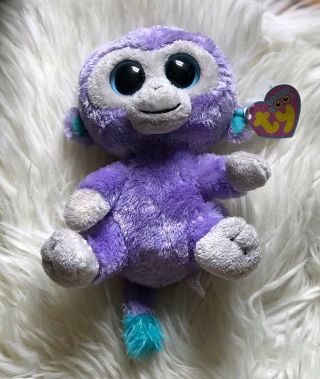 Ty Beanie Boo Blueberry The Purple Monkey 6” - Rare - Solid Eyes - Retired