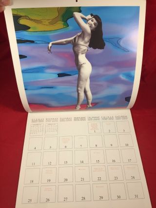 Rare Bettie Page 2004 Calendar Irving Klaw Bunny Yeager Risque Girlie Pinups 2