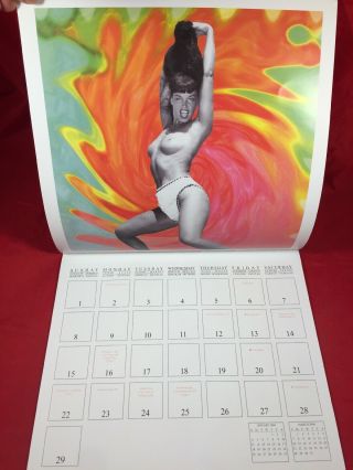 Rare Bettie Page 2004 Calendar Irving Klaw Bunny Yeager Risque Girlie Pinups 3