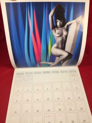 Rare Bettie Page 2004 Calendar Irving Klaw Bunny Yeager Risque Girlie Pinups 5