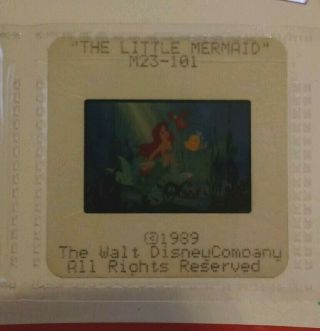 The Little Mermaid Press Photo Release Slide Rare Media Movie Film Cell Disney