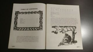 Revelshire Game Booklet - Pegasus - Judges Guild - By Scott Fulton - RPG - Rare 5