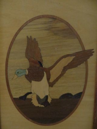 Hudson River Inlay wood marquetry picture flying duck Jeffrey Nelson rare 4