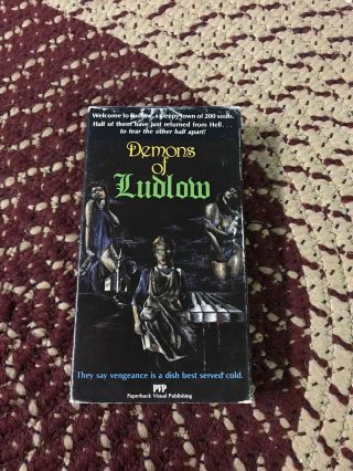 The Demons Of Ludlow Vhs Rare Horror Pvp Insanely Obscure Bill Rebane Sov
