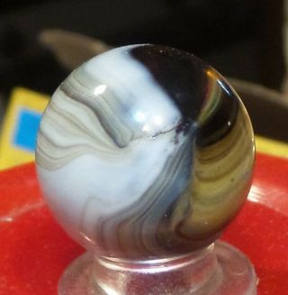 Christensen Agate Shooter Rare.  807 Awesome Nm