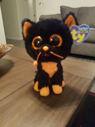 Rare Ty Beanie Boos Moonlight The Orange Black Halloween Cat Kitten 6 " Retired