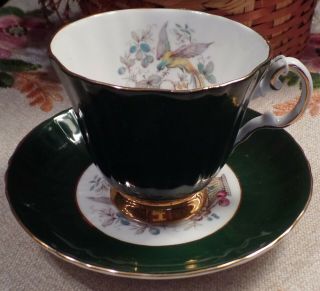 Royal Grafton Bone China Made In England Cup & Saucer Forest Green Rare