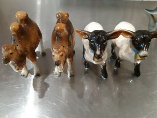 Rare Vintage Salt And Pepper Shakers Large Camels And Sheep Set