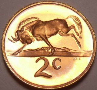 South Africa 2 Cents,  1987 Proof Rare Only 6,  781 Minted Wildebeest