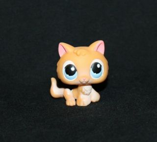 Littlest Pet Shop Lps Orange Kitten 47 Blue Eyes Rare Cat Kitty Tail (ktn06)