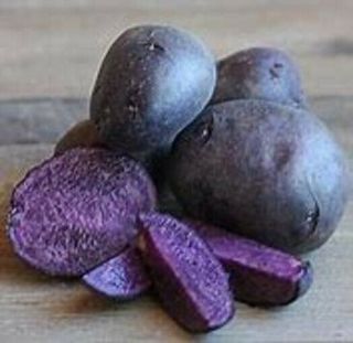 Purple Potato - 6,  Rare Purple Magesty Seed Potatoes - Nutritious Vegetables