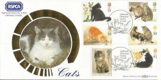 Cats Benham Rare Stamp Double Official Silk Illustrated Fdc.  Blcs101b A765