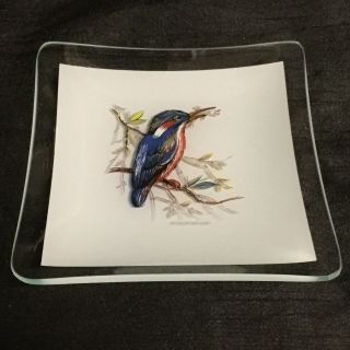 ✨ A Rare Vintage 1960’s Collectable ‘chance’ Glass Kingfisher Bird Dish/tray ✨