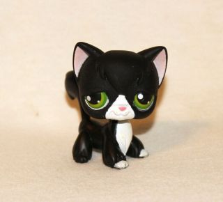 Littlest Pet Shop Lps Black Angora Cat 55 Green Eyes White Kitty Rare Tuxedo