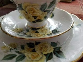 Rare Yellow Roses Tea Cup Saucer & Dessert Plate Royal Vale Bone China England