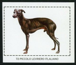 Rare Italian Greyhound Dog Sticker Card Spain 1998