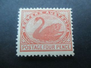 Western Australia Stamps: 4d Swan - Rare (g212)
