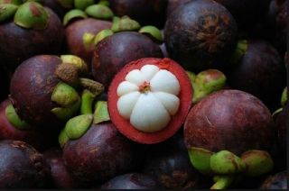 Uncle Chan 5 Seeds Garcinia Mangostana Mangosteen 2019 Rare Sweet Queen Fruit