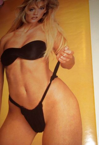 Ujena Girl A Sexy Bikini Swimwear Poster And Very Rare From 1987 23 1/4 " X 35 "