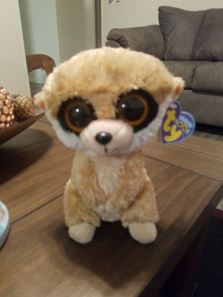 Ty Beanie Boo Rebel The Meerkat 6 " Plush Rare Solid Eyes Purple Tag Retired