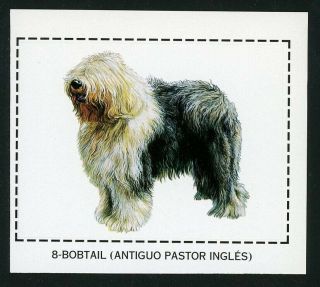 Rare Bobtail Old English Sheepdog Dog Sticker Card Spain 1998