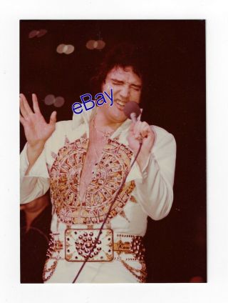 Elvis Presley Concert Photo - Sundial 1977 - Jim Curtin Vintage Rare