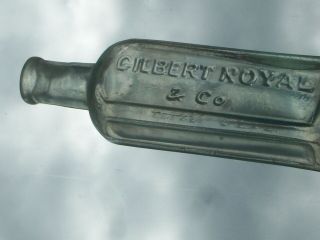 Rare Gilbert Royal & Co.  Medicine Cure Bottle Philadelphia,  Pa.  Affixed Cork To