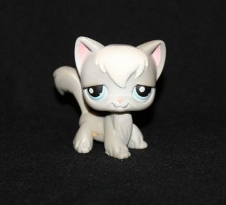 Littlest Pet Shop Lps Gray & White Angora Cat 345 Blue Eyes Rare Kitty (ang2)
