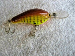 Rare Old Vintage Bagley ' s Deep Diving Wood Lure Lures Florida Full Brass 2